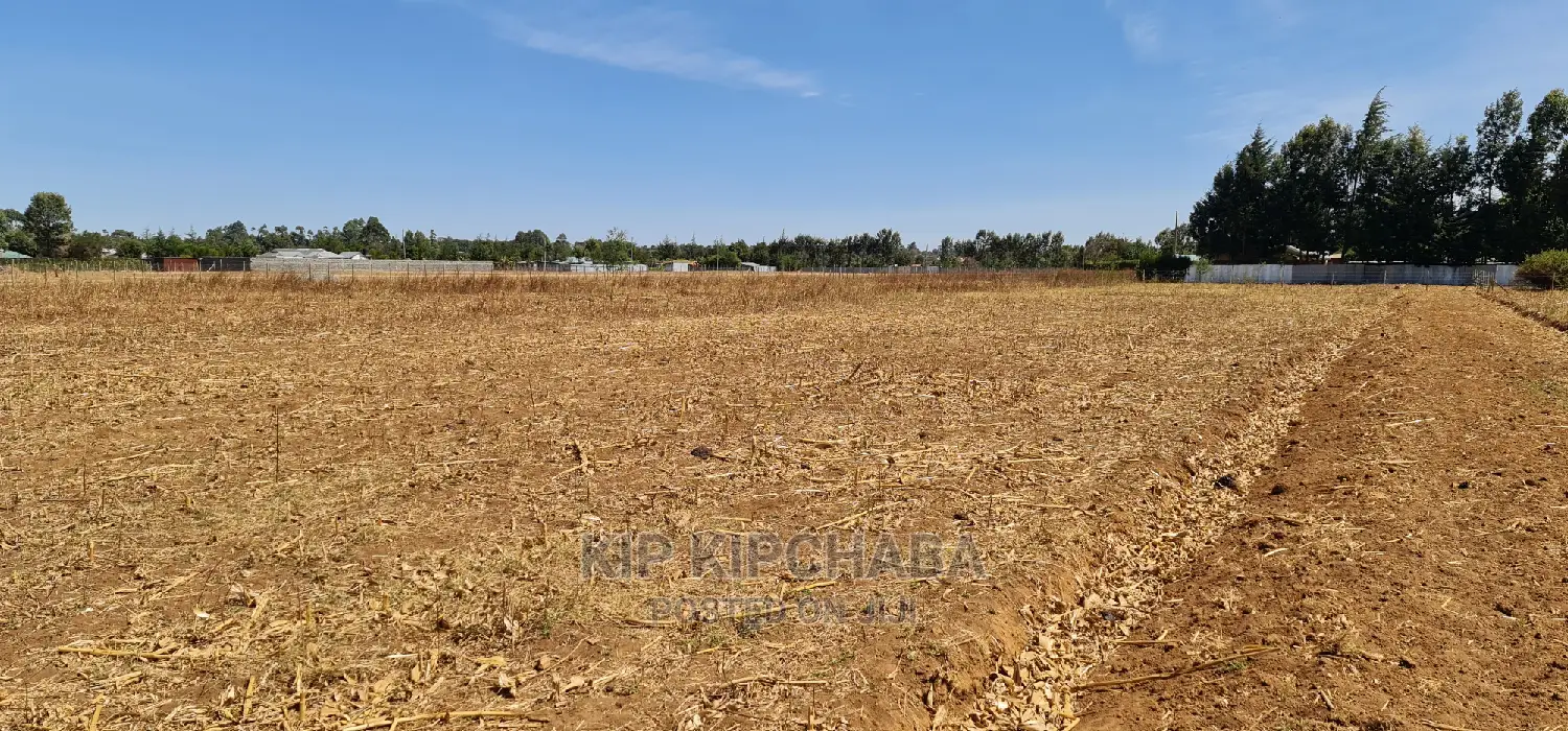 Prime Plots for Sale in Royalton Annex in Eldoret