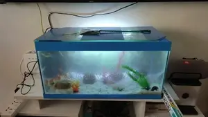 Home Aquarium.