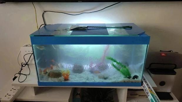 Home Aquarium. - main view