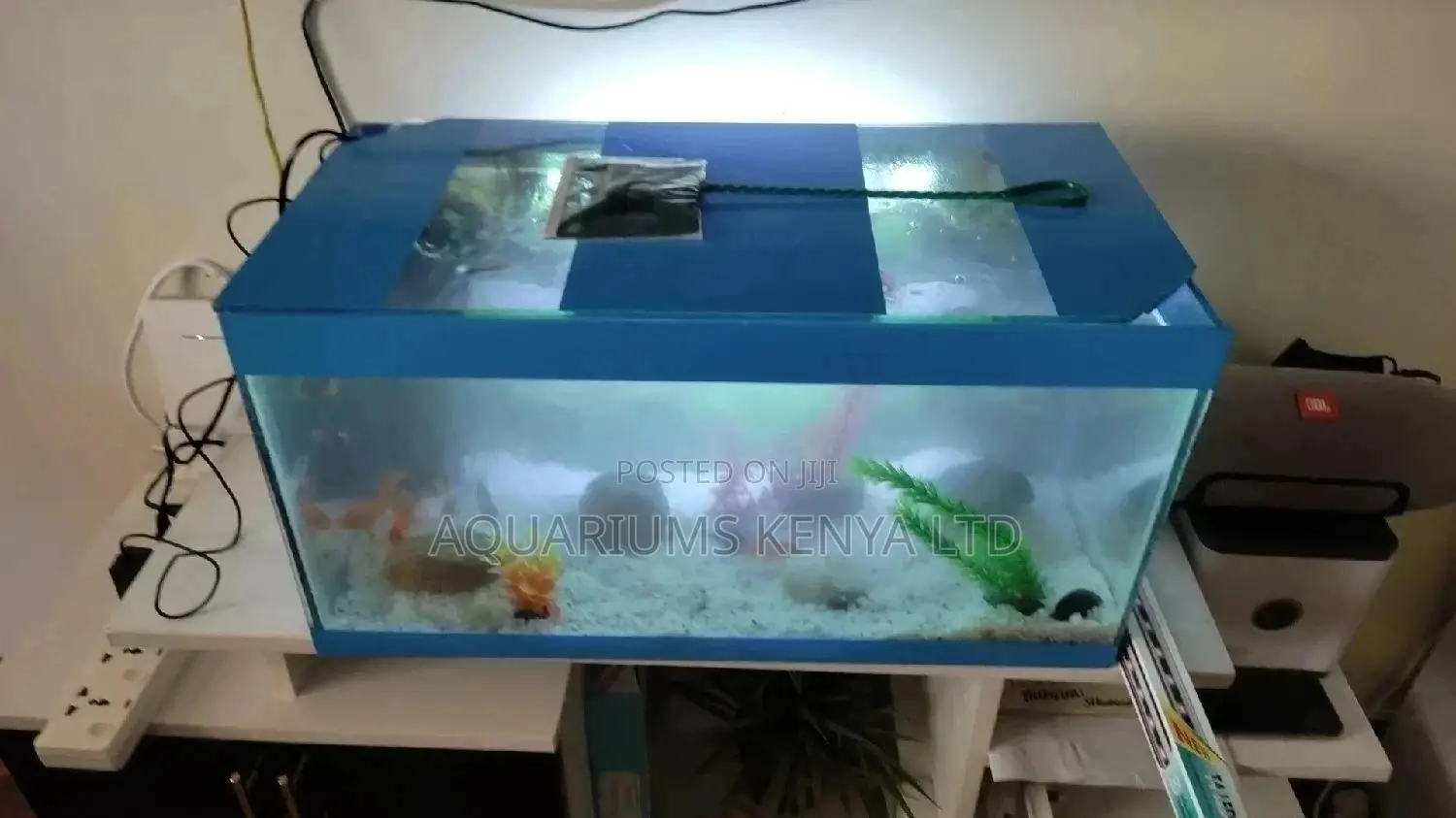 Ornamental Fish Aquarium