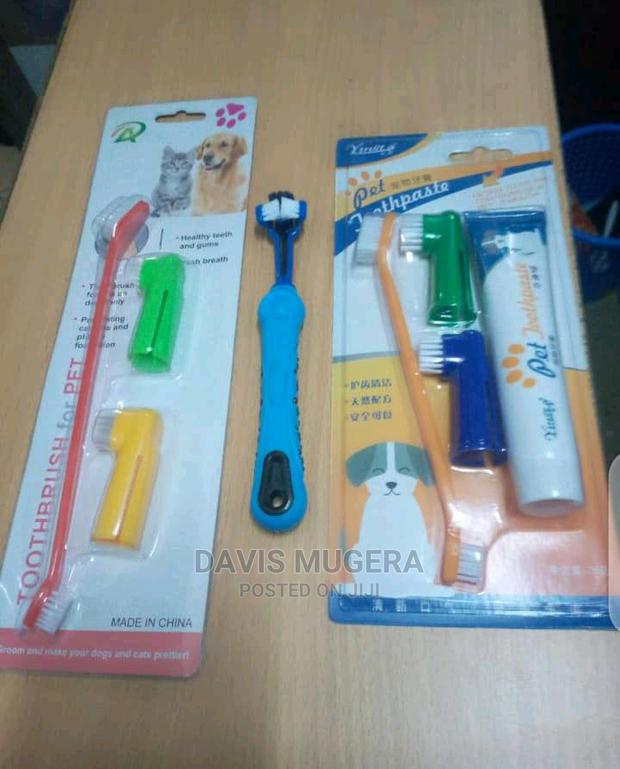 Dog Toothpaste Toothbrush Dental Set - thumbnail 2