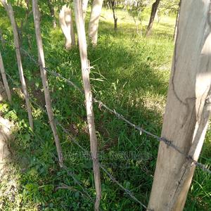 Mumbuni 100*100 Plot - thumbnail 2