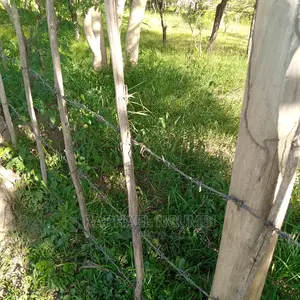 Mumbuni 100*100 Plot