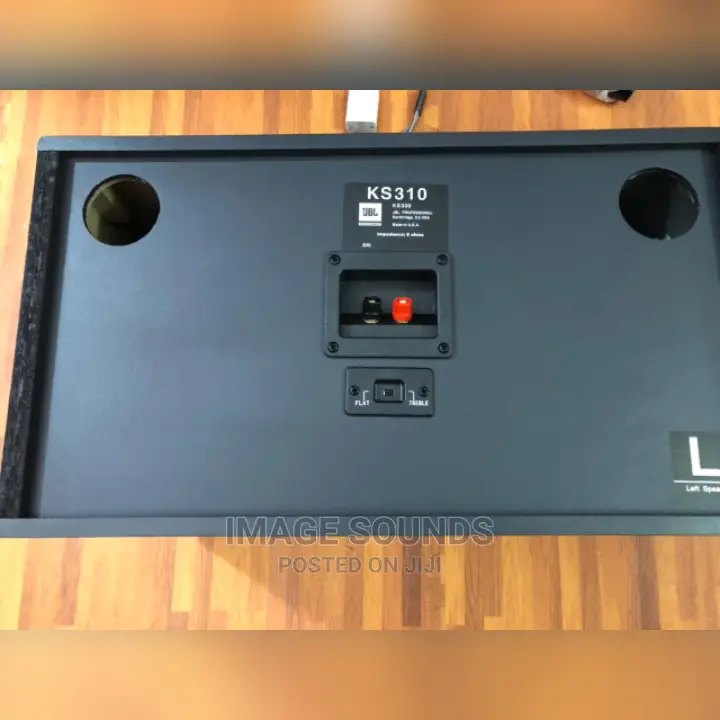 Jbl 10" Hall Speaker