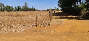 1 Acre Plot for Sale in Chepkoilel Near Chepsiria Eldoret - thumbnail 2