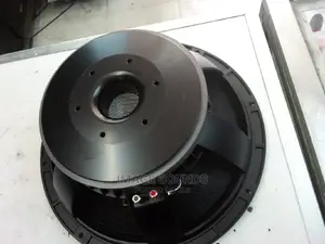 Naked Speaker Fidek 15"