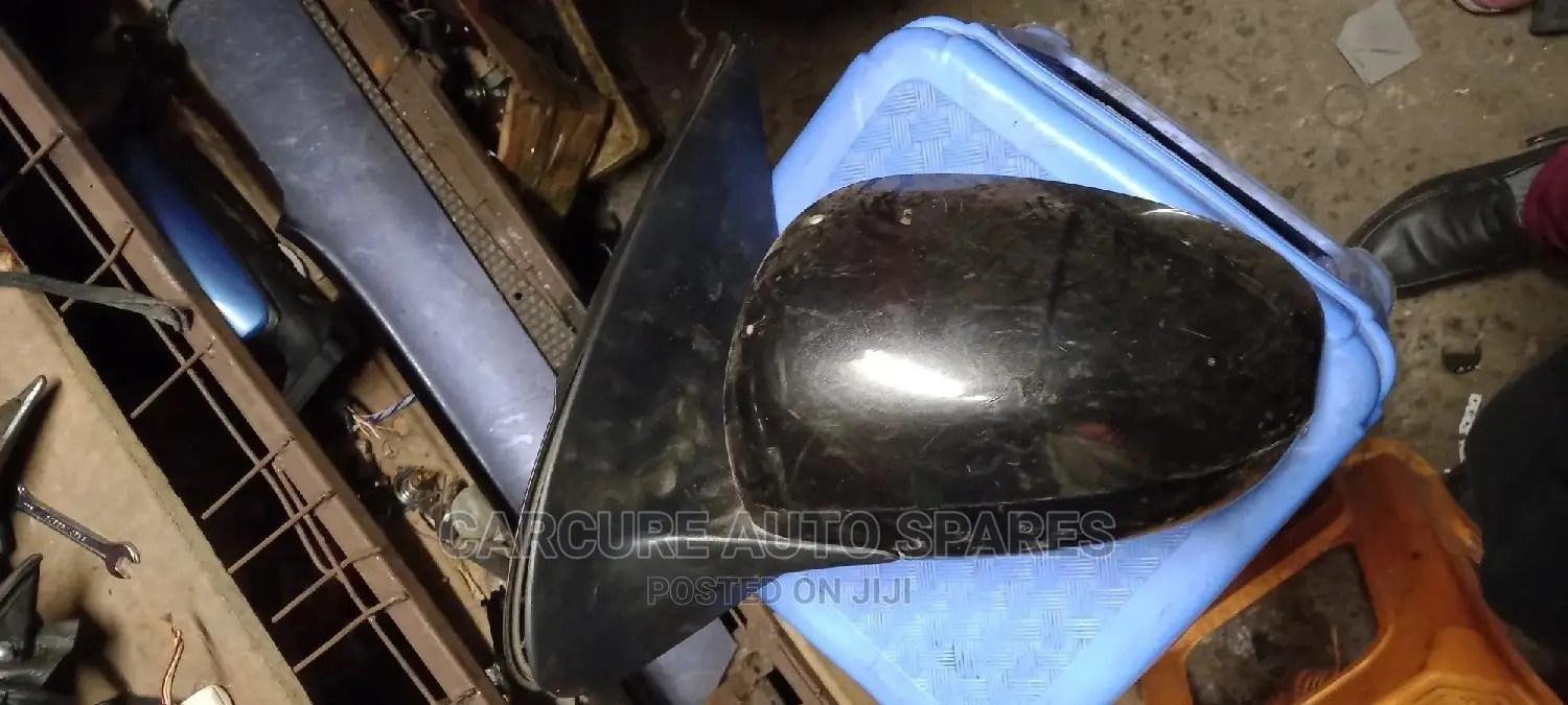 Passo Side Mirror