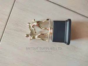 Boxing Event Trophy Double 12"