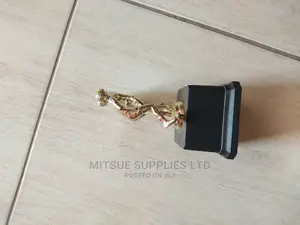 Boxing Event Trophy Double 12"