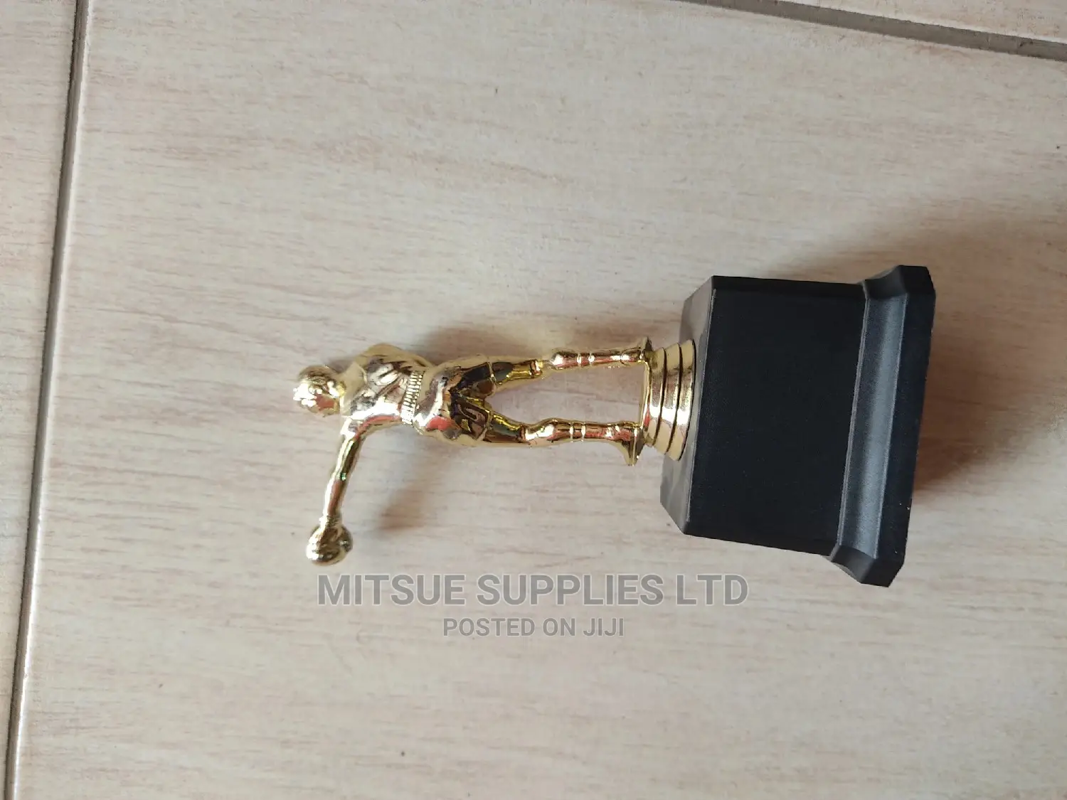 Boxing Championship Trophy Single 8"