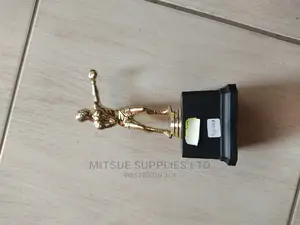 Boxing Championship Trophy Single 8"