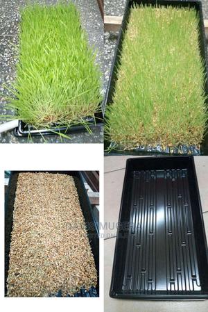 High Quality Plastic Hydroponic Trays - main view