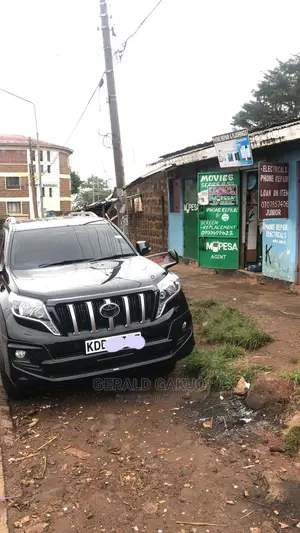 Car Hire Services