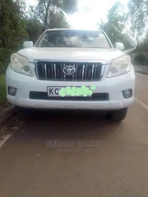 Car Hire Services