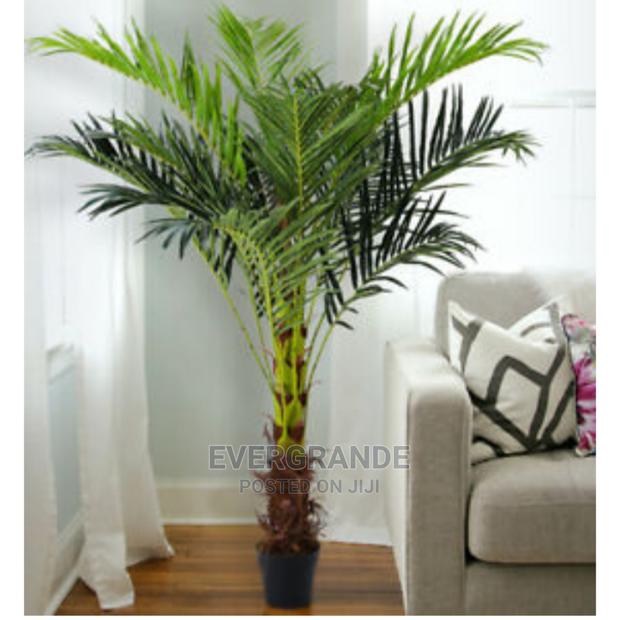 4 Feet Tall Flowers - main view