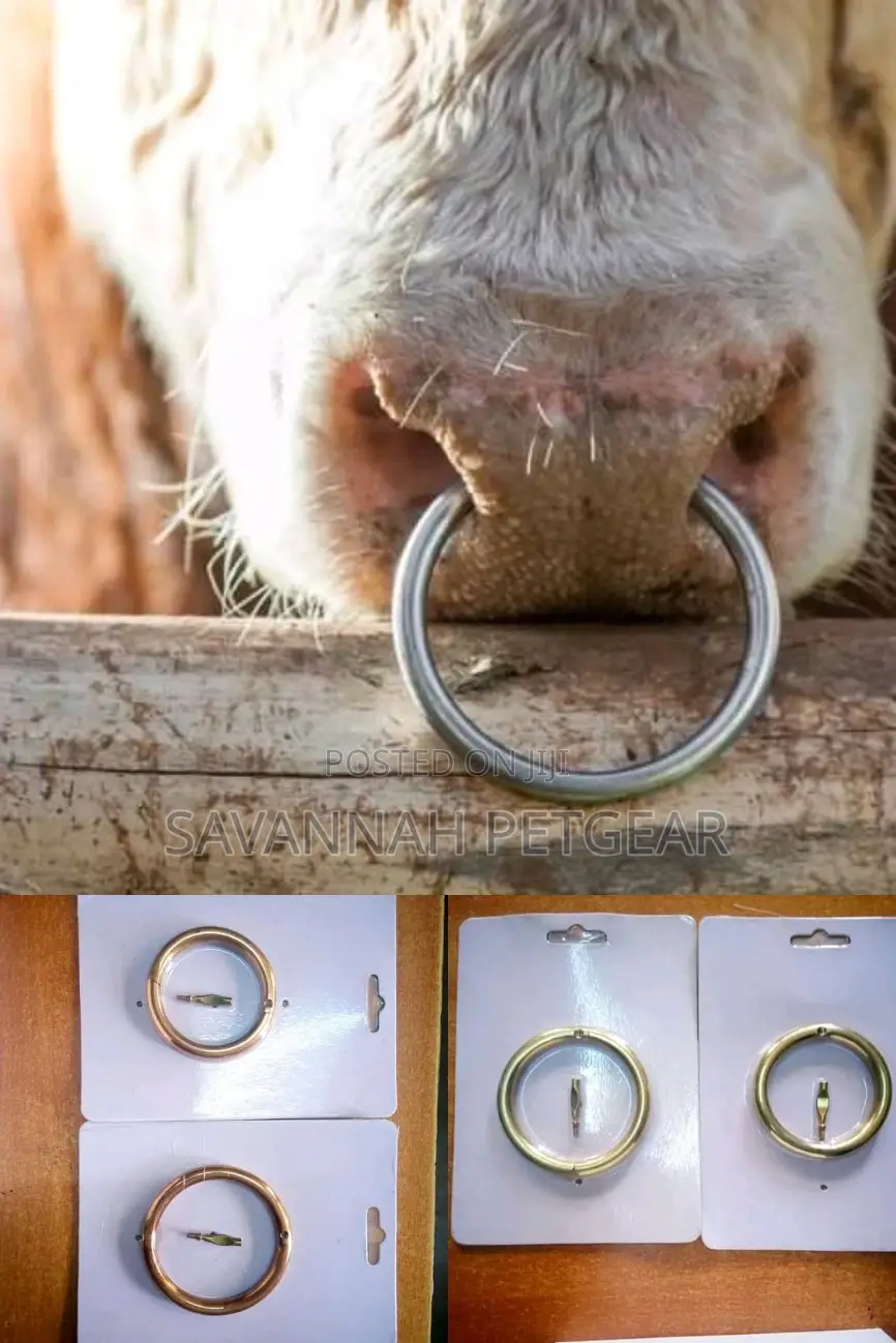Stainless Steel Bull Lead Bull Ring -55mm