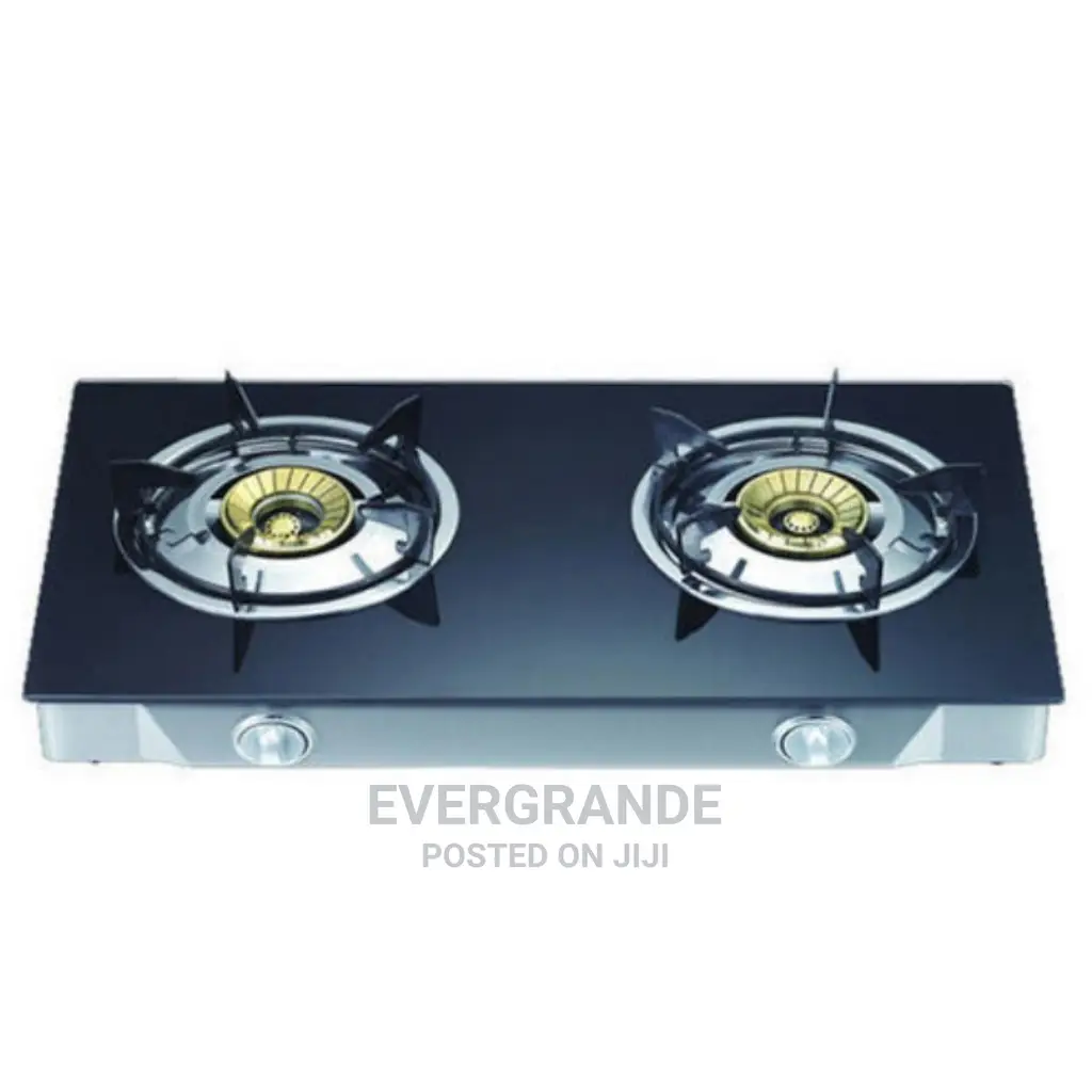 Glass Top Lyons Two Burner Cooker