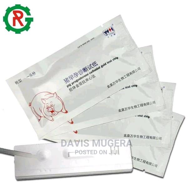 Pigs Pregnancy Test Kit - 2 Pack - thumbnail 3