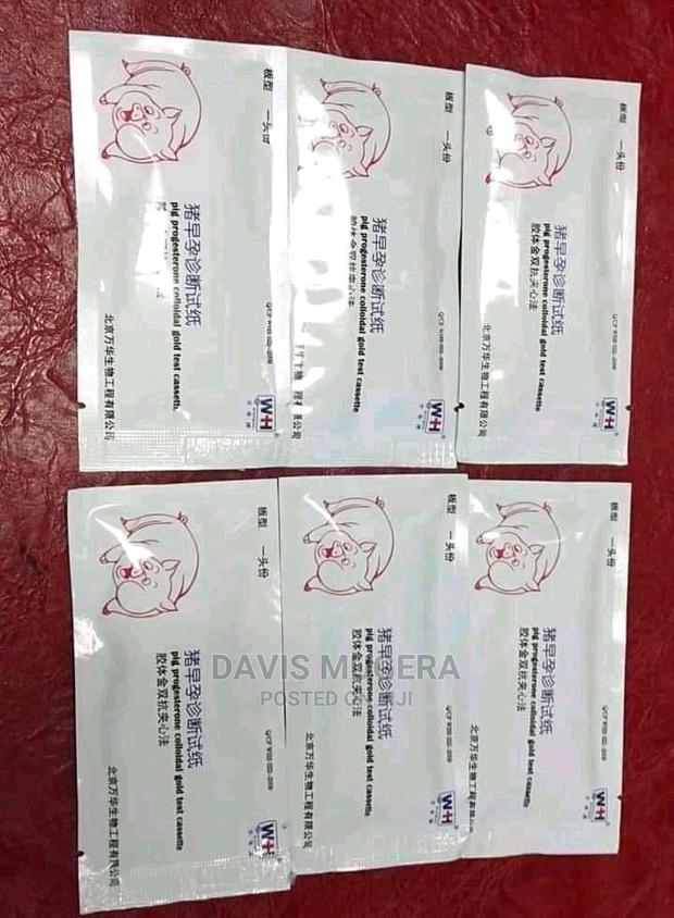 Pigs Pregnancy Test Kit - 2 Pack - thumbnail 5