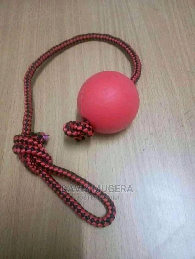 Dog Balls Medium and Large Size - thumbnail 3