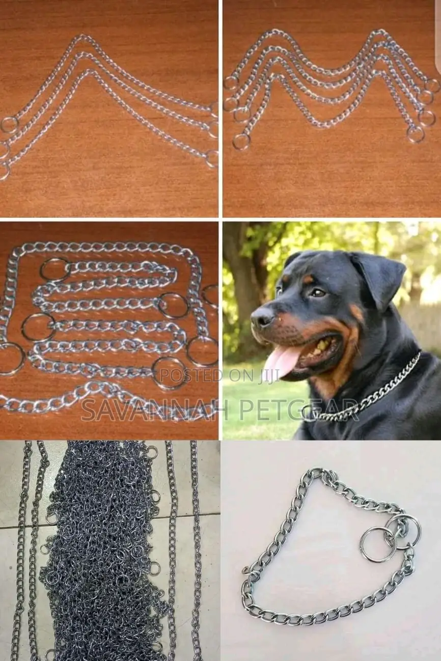 Stainless Steel Dog Choke Chain