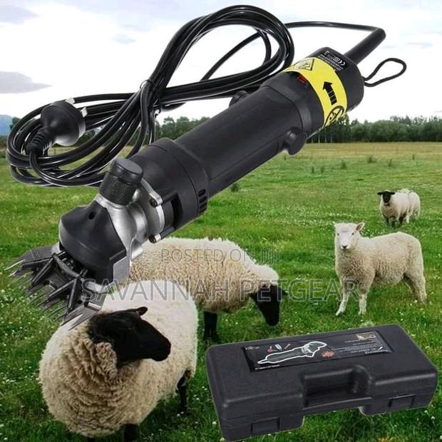 Electric Sheep Shearer - Wool Trimming
