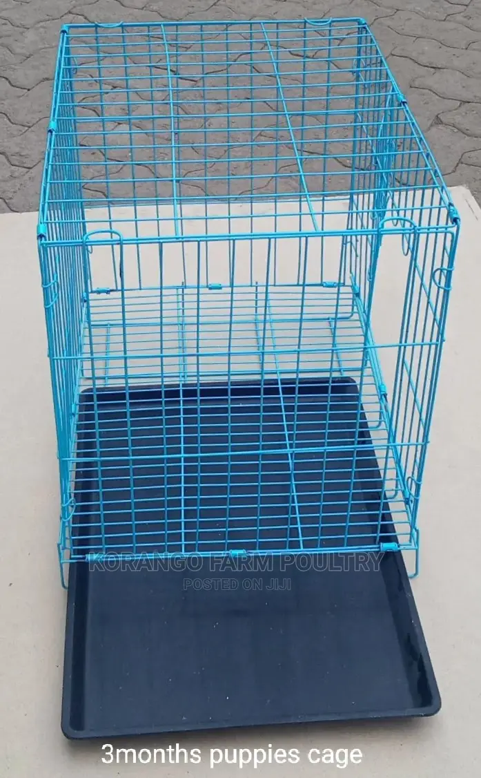Both Rabbit Dogs""Cages