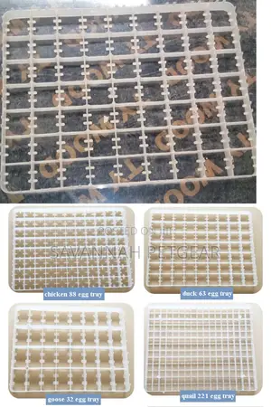 63 Eggs Duck, Turkey, Goose Eggs Incubator Setter Trays