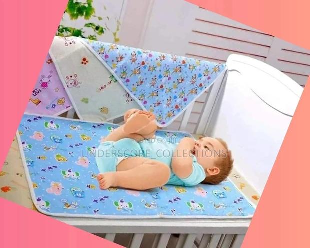 Mackintosh - main view