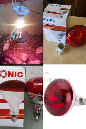 Brooder Lamps for Chicks and Piglets