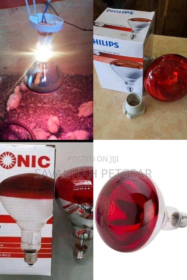 Brooder Lamps for Chicks and Piglets - thumbnail 2