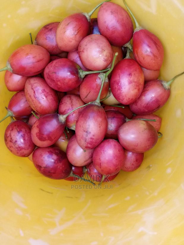 Tree Tomato Fruits - thumbnail 4