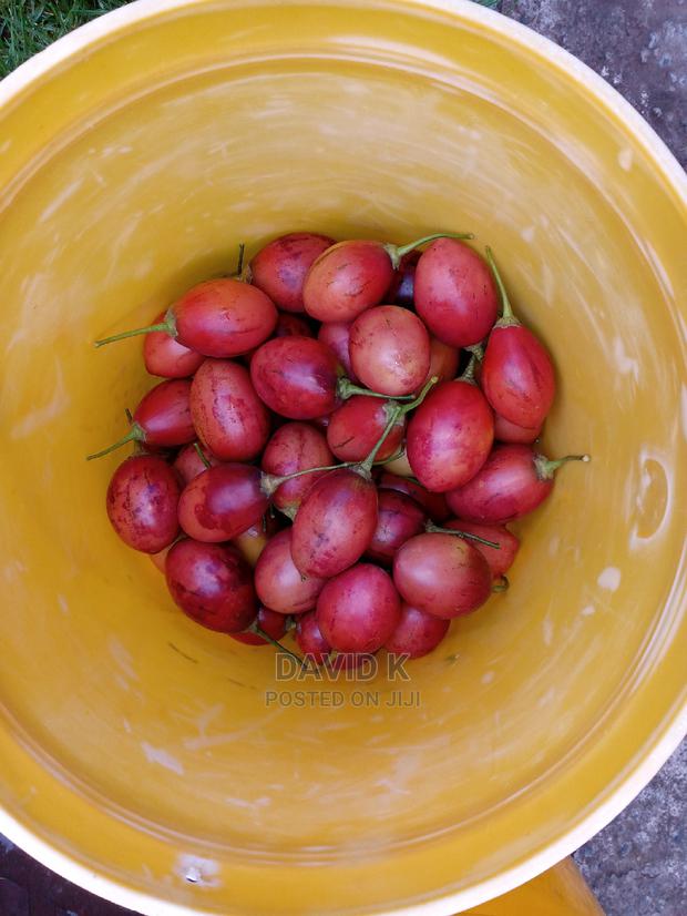 Tree Tomato Fruits - thumbnail 5