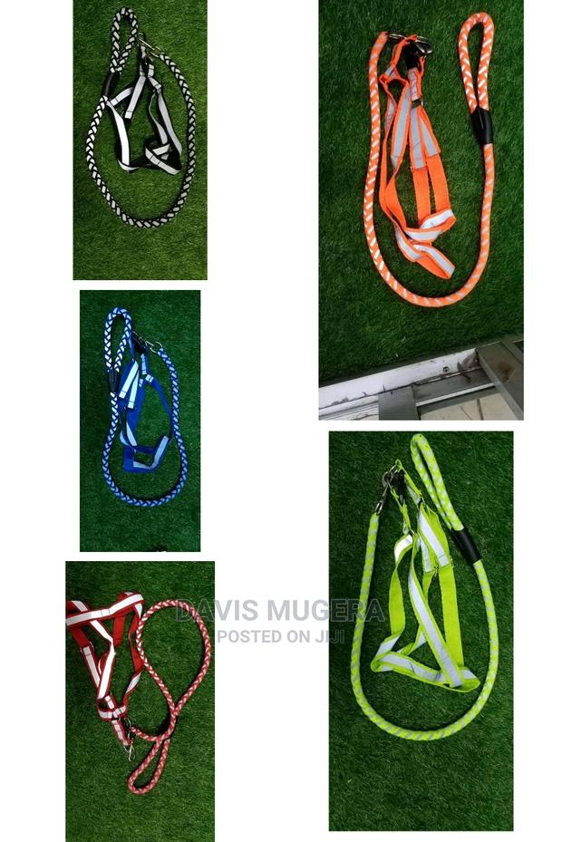 Dog Leash Harness Combo With Reflective Night Visibility - thumbnail 3