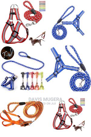 Dog Leash Harness Combo With Reflective Night Visibility - thumbnail 2