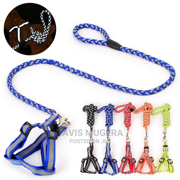 Dog Leash Harness Combo With Reflective Night Visibility - thumbnail 4