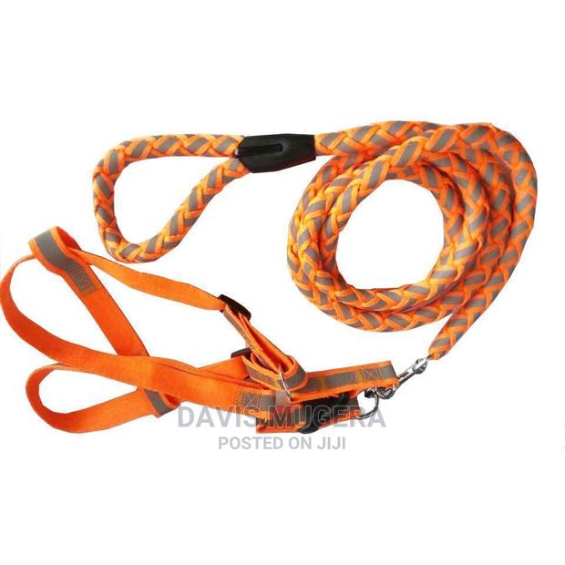Dog Leash Harness Combo With Reflective Night Visibility - thumbnail 5