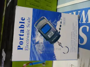 Efficient Portable Electronic Scale