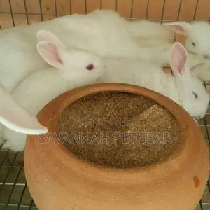 Rabbit Clay Pot Feeding Bowls