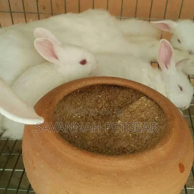 Rabbit Clay Pot Feeding Bowls