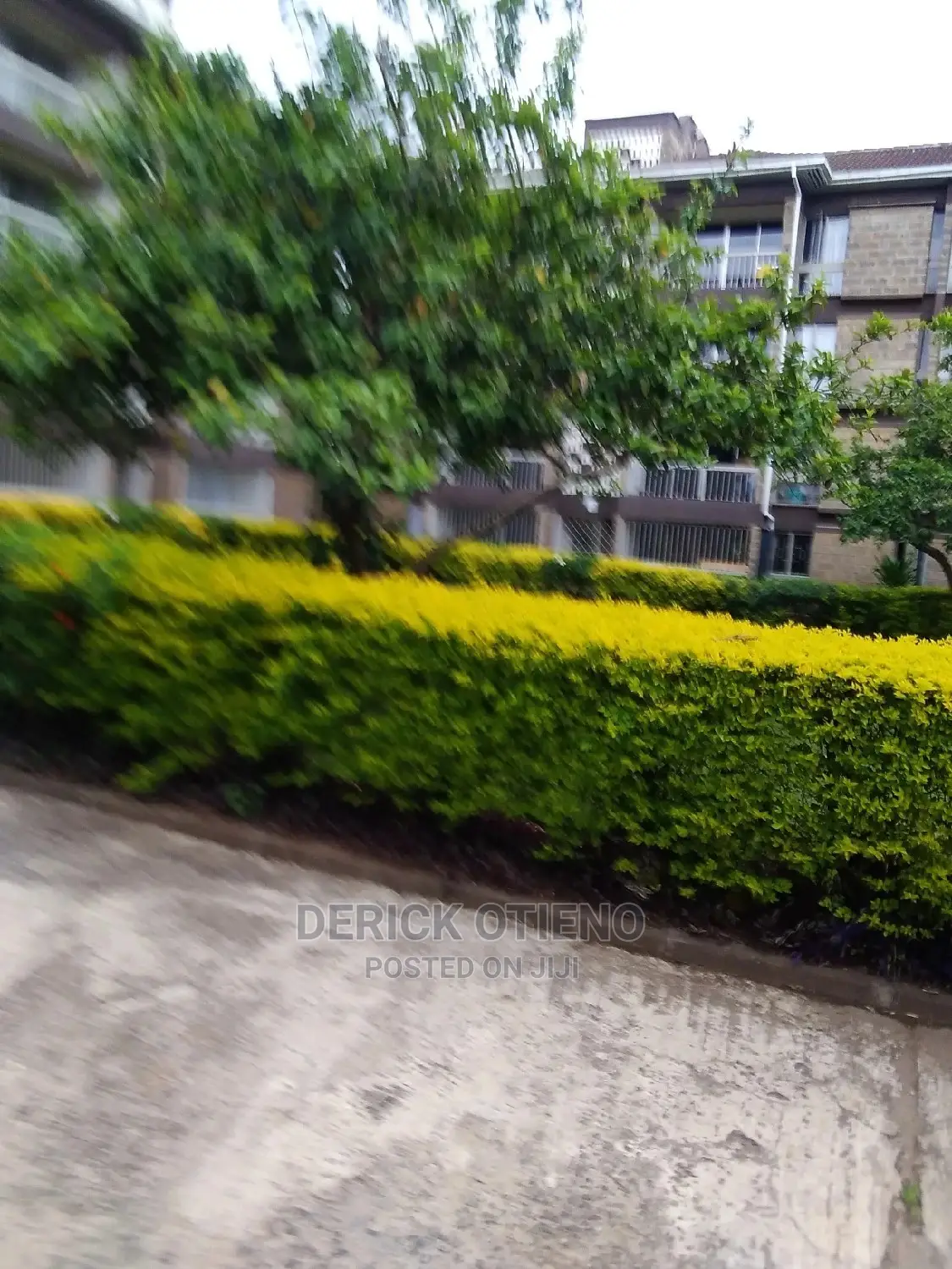 1bdrm Apartment in Hurlingham for Rent