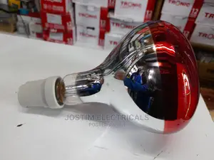 250w Heat Bulb With Holder