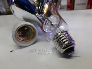 250w Chicken Bulb Complete With Porcelain Holder