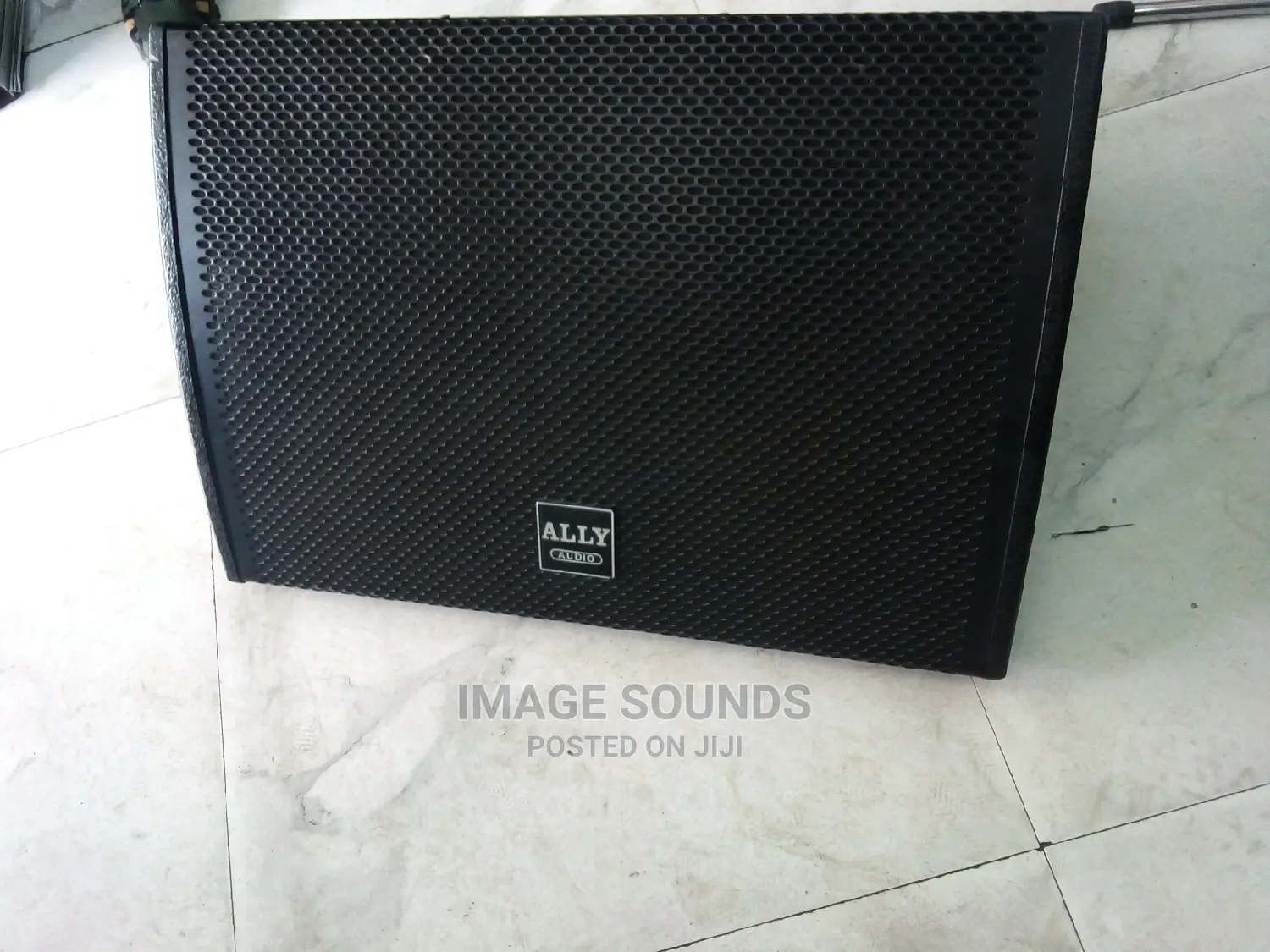 Monitor Speaker- 12 Inch