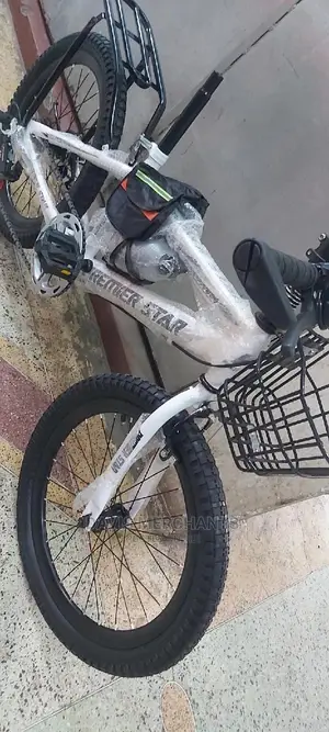 Sports Bike Size 20 With 21 Speed Ear