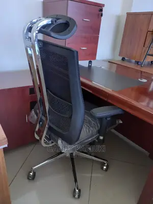 Doctor Recommended Office Chair