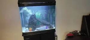 Rock Aquascapes, Make Your Imported Tanks Magnificent.