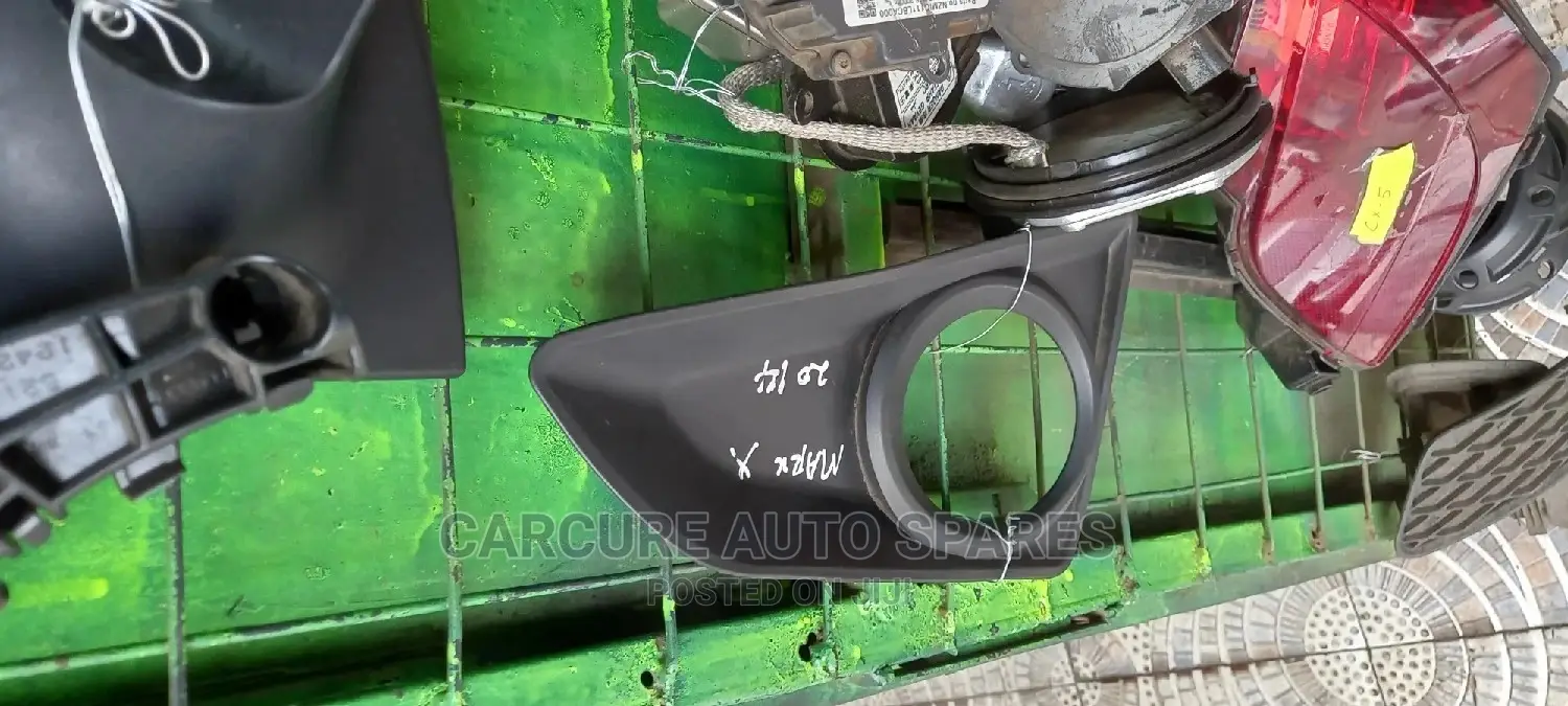 Mark X 2014 Fog Light Cover