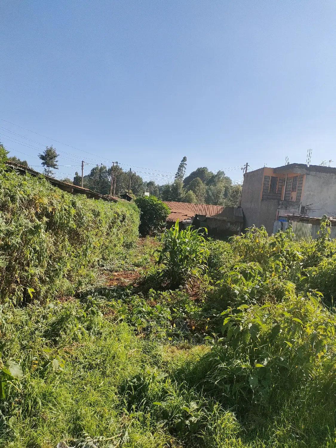 Karatina 1/8 Plot Main Highway