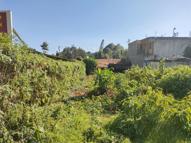 Karatina 1/8 Plot Main Highway - thumbnail 4